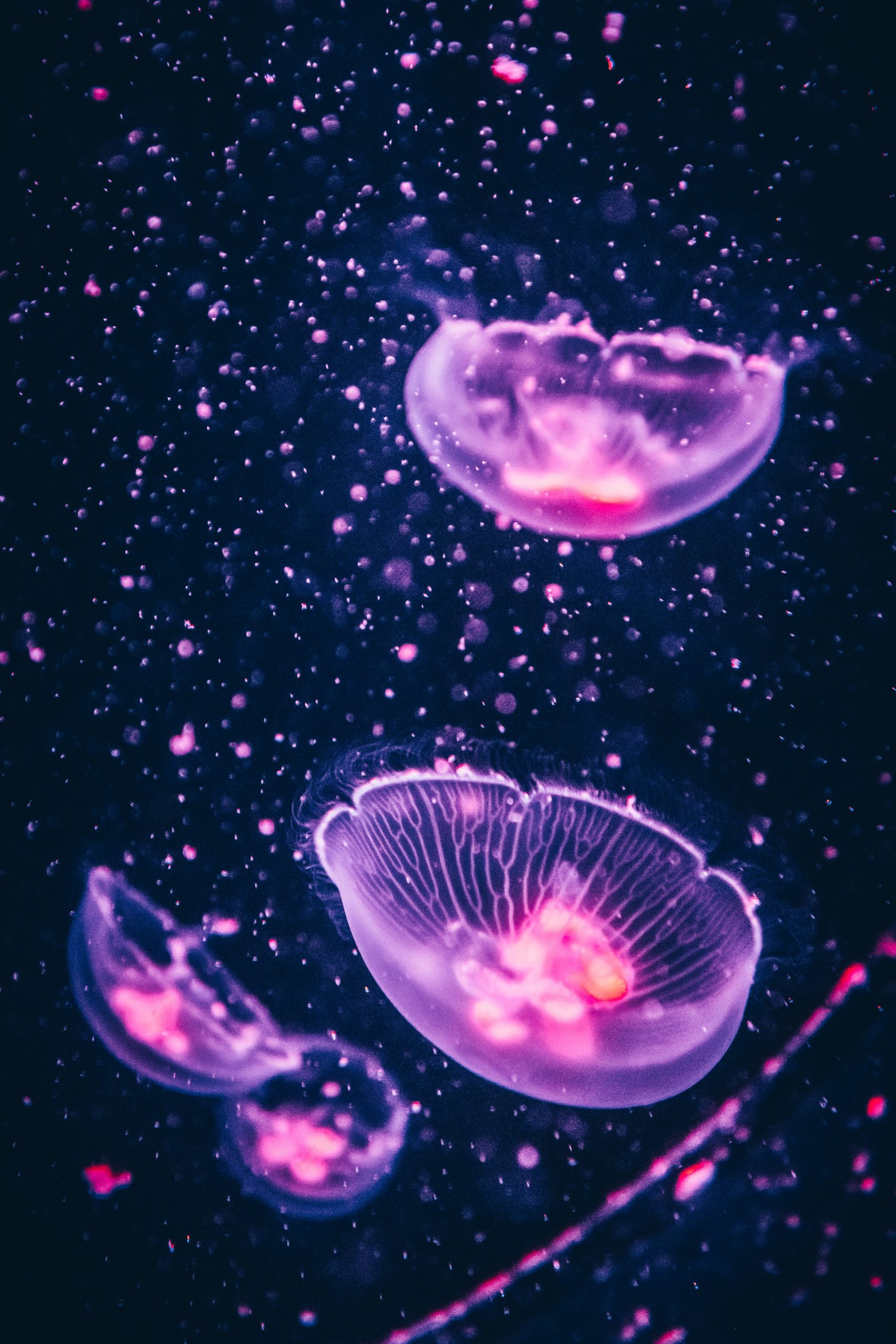 ukuosmosi-ultrafiltracia-3